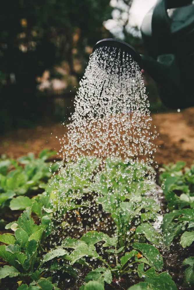 Agriculture & Jardinage